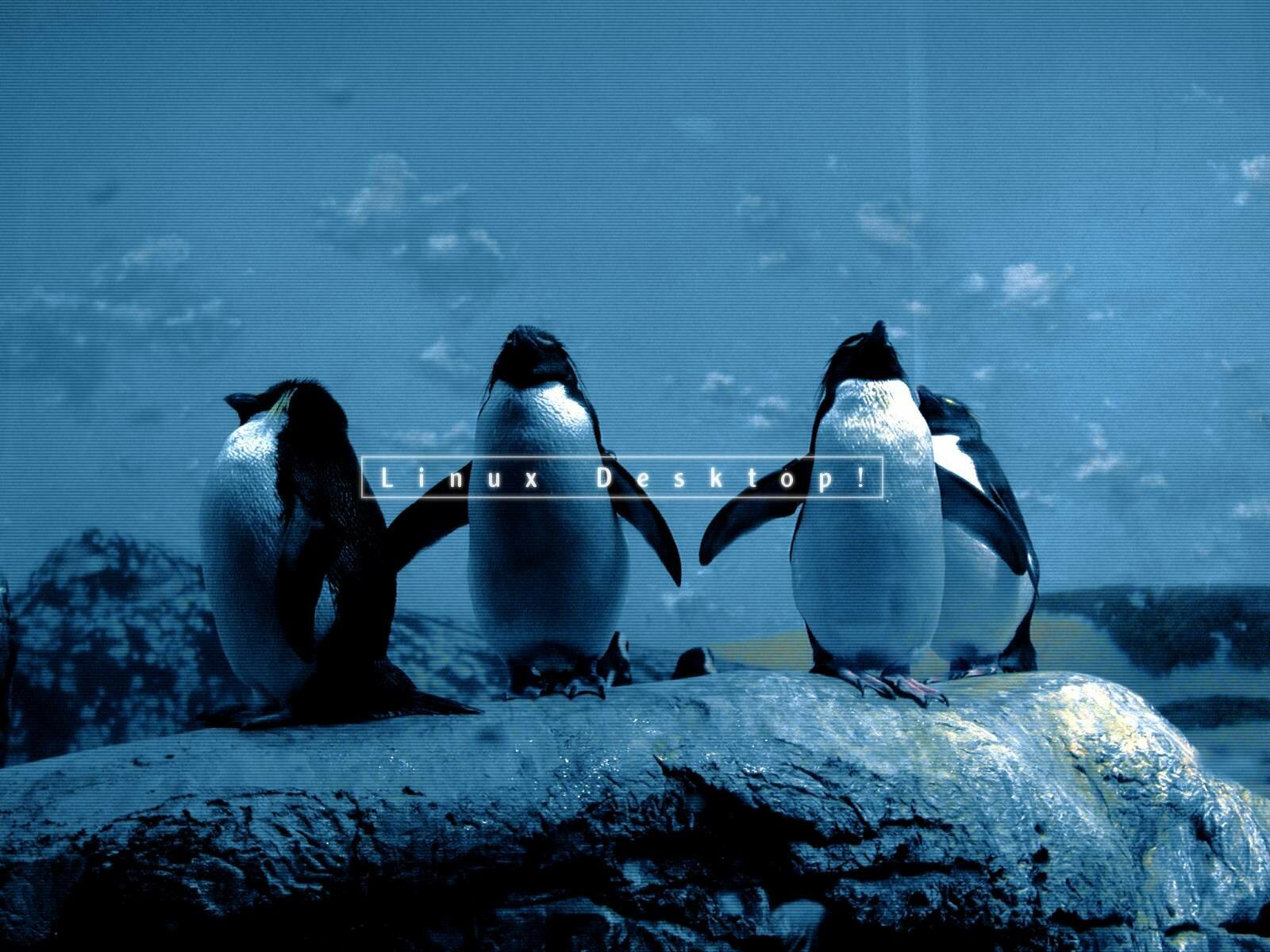 wallpaper-penguingang-1600x1200