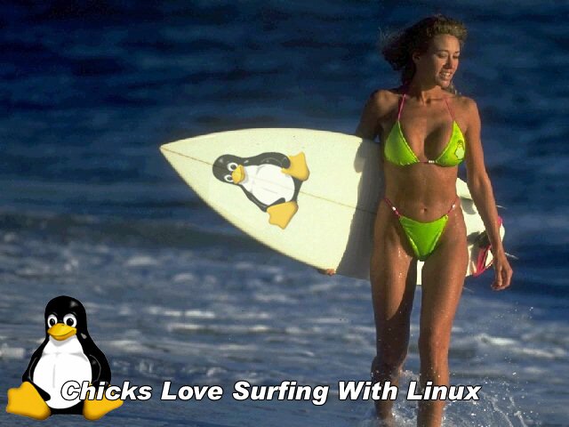 surfing chick